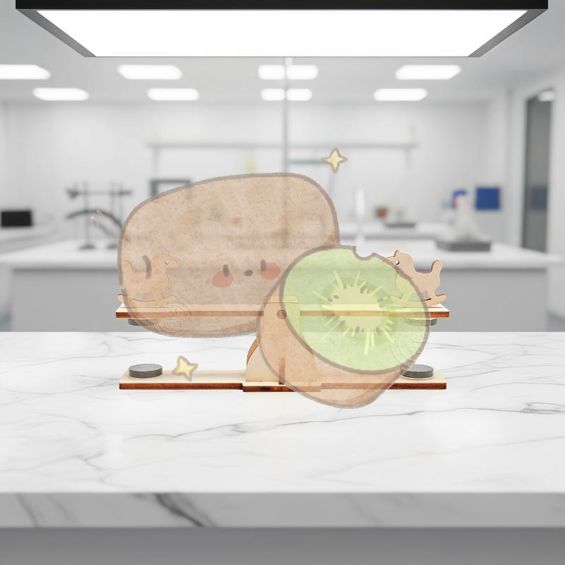 Science Project Kit - Kit Fai-da-Te Altalena Magnetica in Legno,