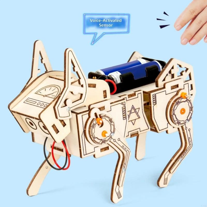 Modello scientifico in legno p - Science Project Robot recensione e prezzo