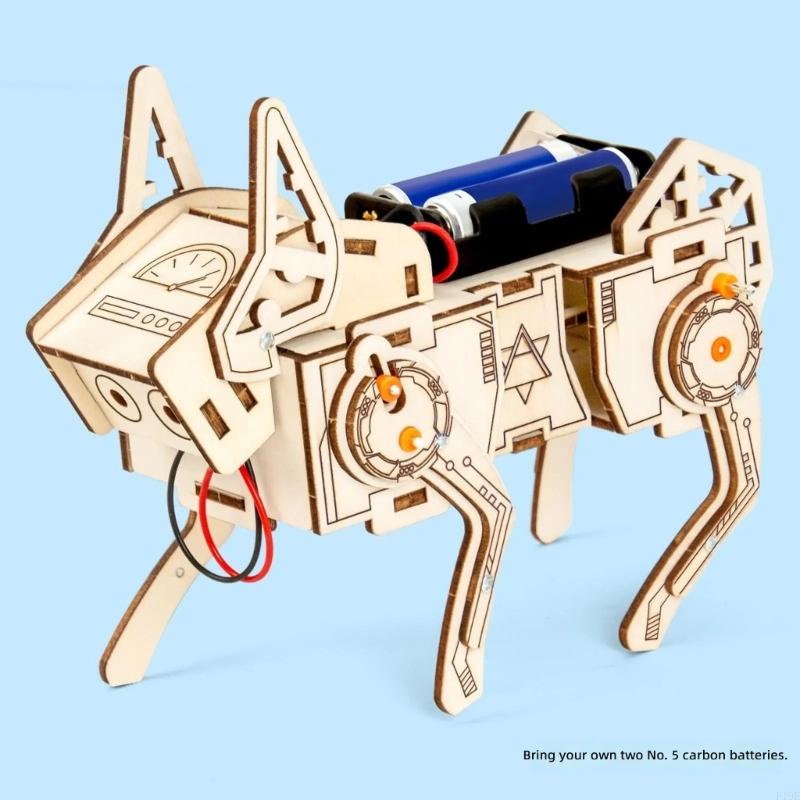 Modello scientifico in legno p - Science Project Robot recensione e prezzo
